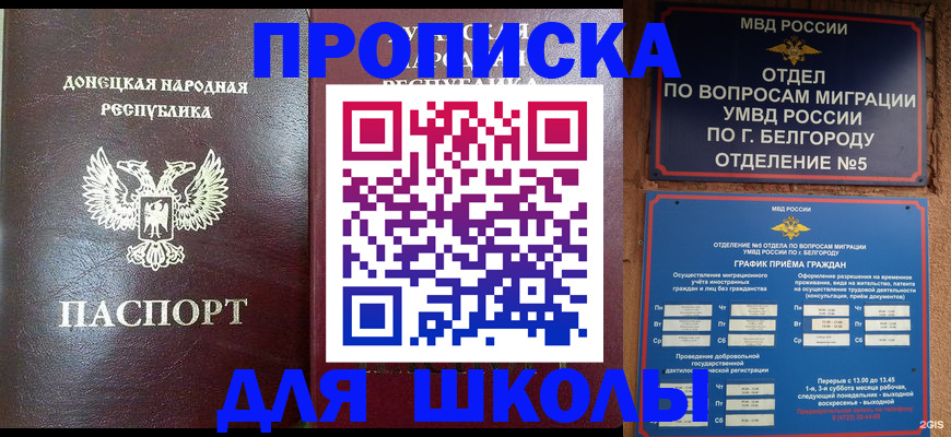 прописка для работы в Заинске